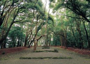 画像：復元整備された高宮祭場の風景